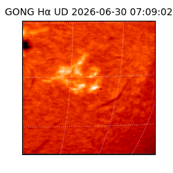 gong - 2026-06-30T07:09:02