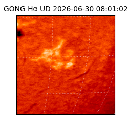 gong - 2026-06-30T08:01:02