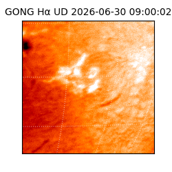 gong - 2026-06-30T09:00:02