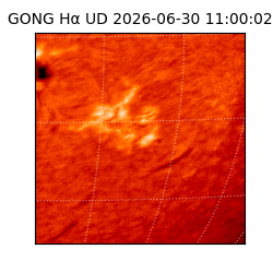 gong - 2026-06-30T11:00:02