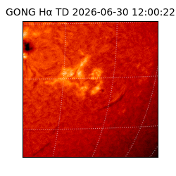 gong - 2026-06-30T12:00:22