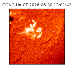 gong - 2026-06-30T13:01:42