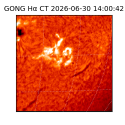 gong - 2026-06-30T14:00:42