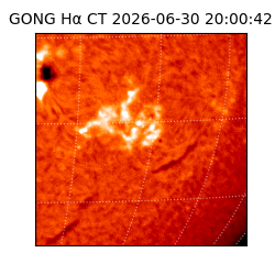 gong - 2026-06-30T20:00:42