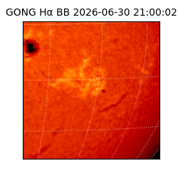 gong - 2026-06-30T21:00:02