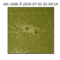 saia - 2026-07-01T01:00:14.124000