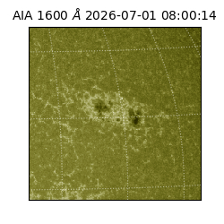 saia - 2026-07-01T08:00:14.123000