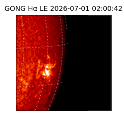 gong - 2026-07-01T02:00:42