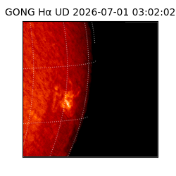 gong - 2026-07-01T03:02:02