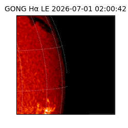 gong - 2026-07-01T02:00:42