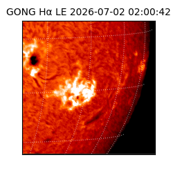 gong - 2026-07-02T02:00:42