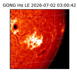 gong - 2026-07-02T03:00:42