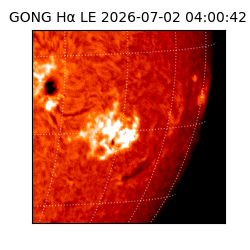 gong - 2026-07-02T04:00:42