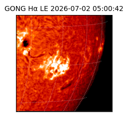 gong - 2026-07-02T05:00:42