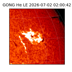 gong - 2026-07-02T02:00:42