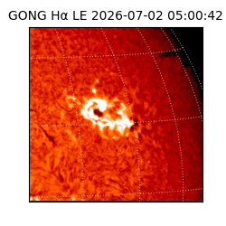 gong - 2026-07-02T05:00:42