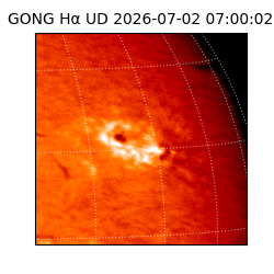 gong - 2026-07-02T07:00:02