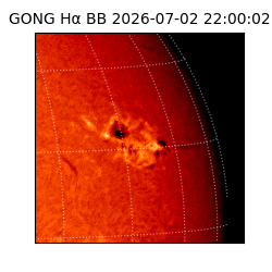 gong - 2026-07-02T22:00:02