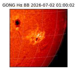 gong - 2026-07-02T01:00:02