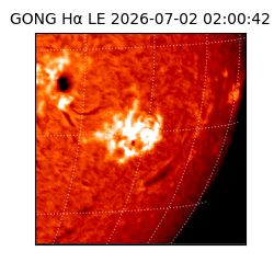 gong - 2026-07-02T02:00:42