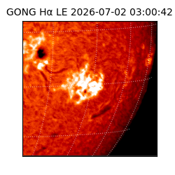 gong - 2026-07-02T03:00:42