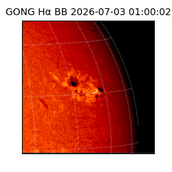 gong - 2026-07-03T01:00:02