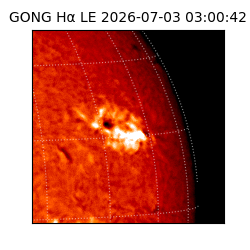 gong - 2026-07-03T03:00:42