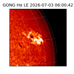 gong - 2026-07-03T06:00:42