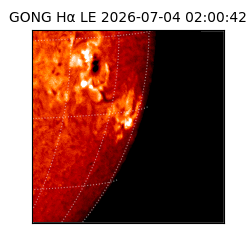 gong - 2026-07-04T02:00:42
