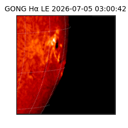 gong - 2026-07-05T03:00:42