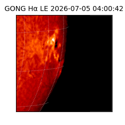 gong - 2026-07-05T04:00:42