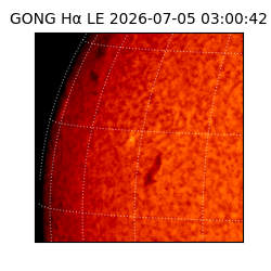 gong - 2026-07-05T03:00:42