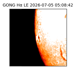 gong - 2026-07-05T05:08:42