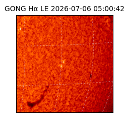 gong - 2026-07-06T05:00:42