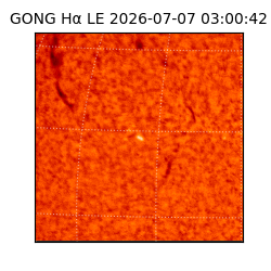 gong - 2026-07-07T03:00:42