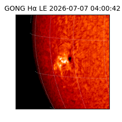 gong - 2026-07-07T04:00:42