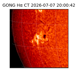 gong - 2026-07-07T20:00:42