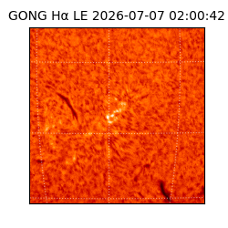 gong - 2026-07-07T02:00:42