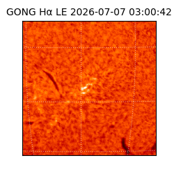 gong - 2026-07-07T03:00:42