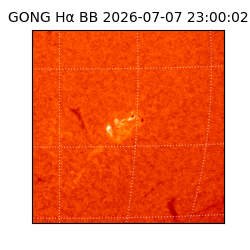 gong - 2026-07-07T23:00:02