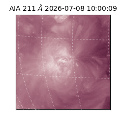 saia - 2026-07-08T10:00:09.623000