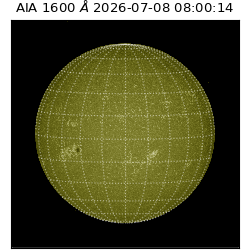 saia - 2026-07-08T08:00:14.123000