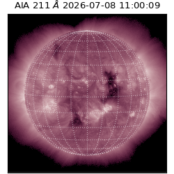saia - 2026-07-08T11:00:09.624000