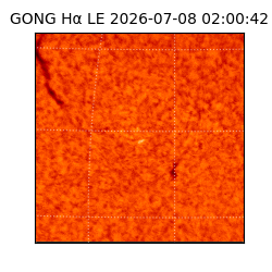 gong - 2026-07-08T02:00:42