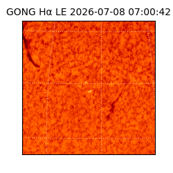 gong - 2026-07-08T07:00:42