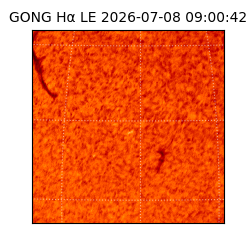 gong - 2026-07-08T09:00:42