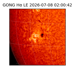 gong - 2026-07-08T02:00:42