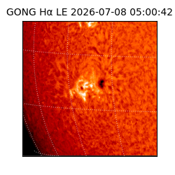 gong - 2026-07-08T05:00:42