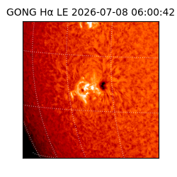 gong - 2026-07-08T06:00:42
