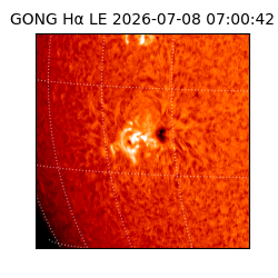 gong - 2026-07-08T07:00:42